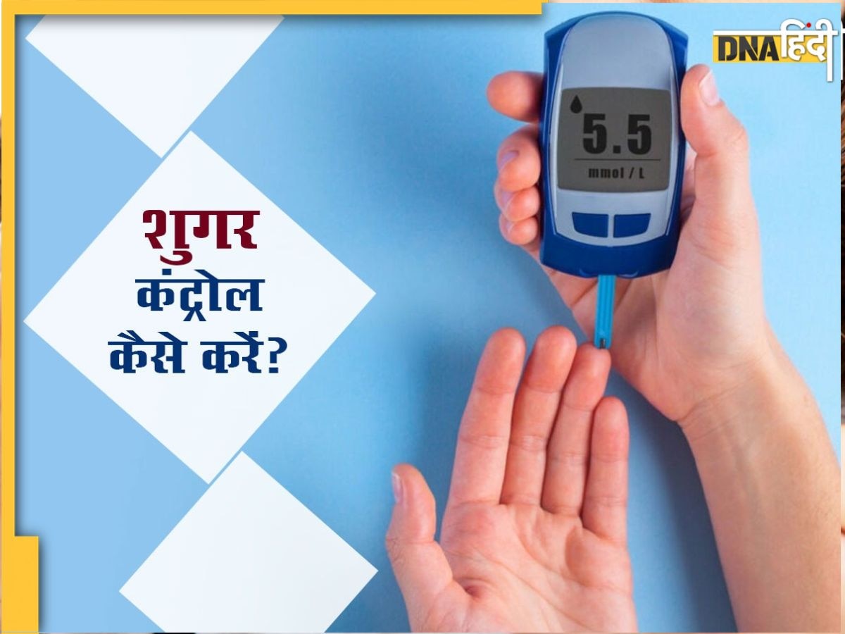 Diabetes Revers Tips: बिना दवा ऐसे करें जड़ से प्री डायबिटीज को खत्म, ये हैं बेहद आसास सी 5 तरकीब