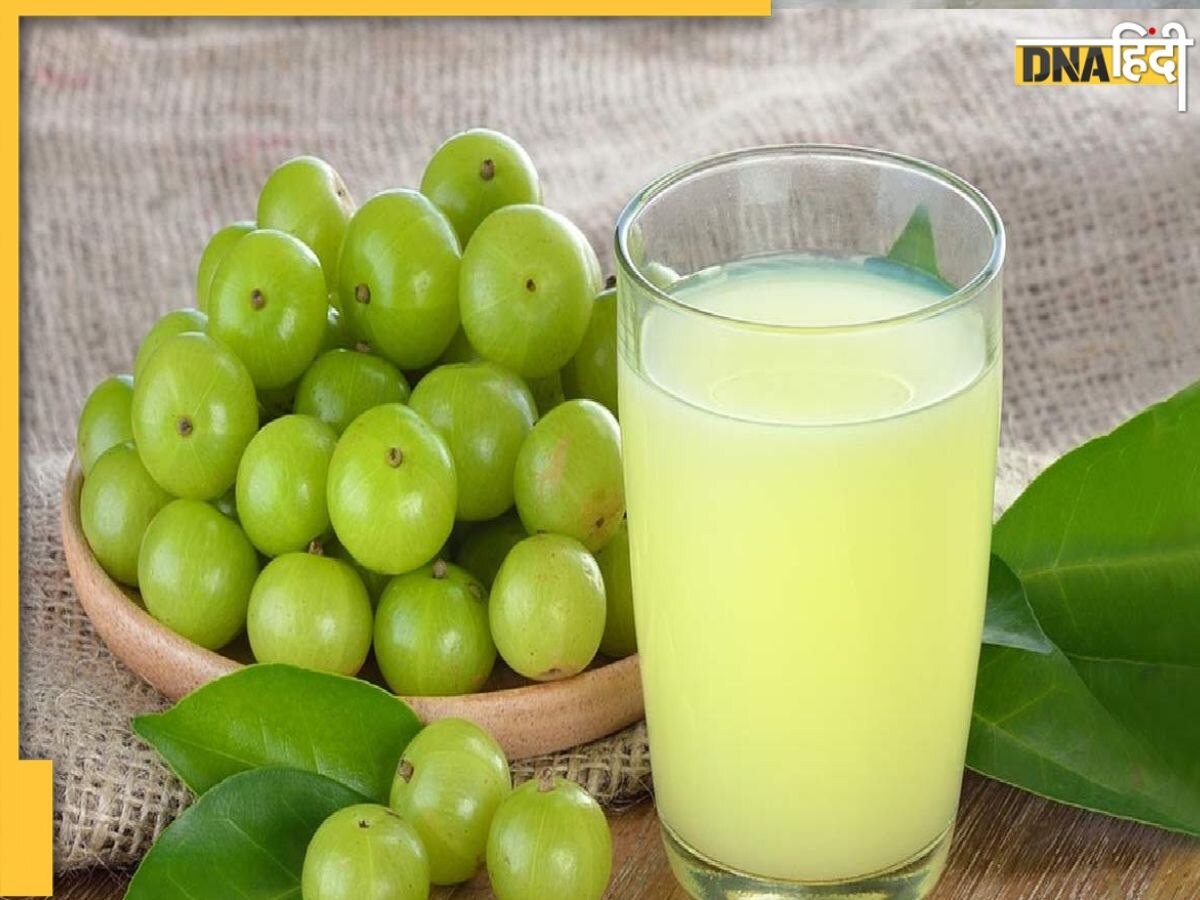 Amla Juice Benefits: खाली पेट रोज पीएं आंवले का 2 चम्मच जूस, डायबिटीज से यूरिक एसिड तक होगा दूर