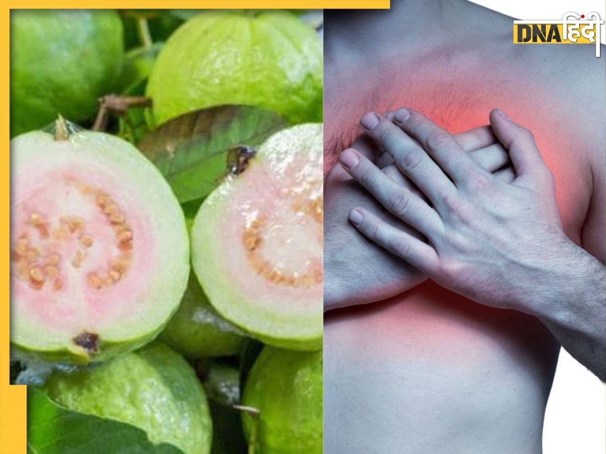 Guavas Benefits: सर्दी में अमरूद का सेवन दिल को रखता है स्वस्थ, जानें इसके 5 बड़े फायदे