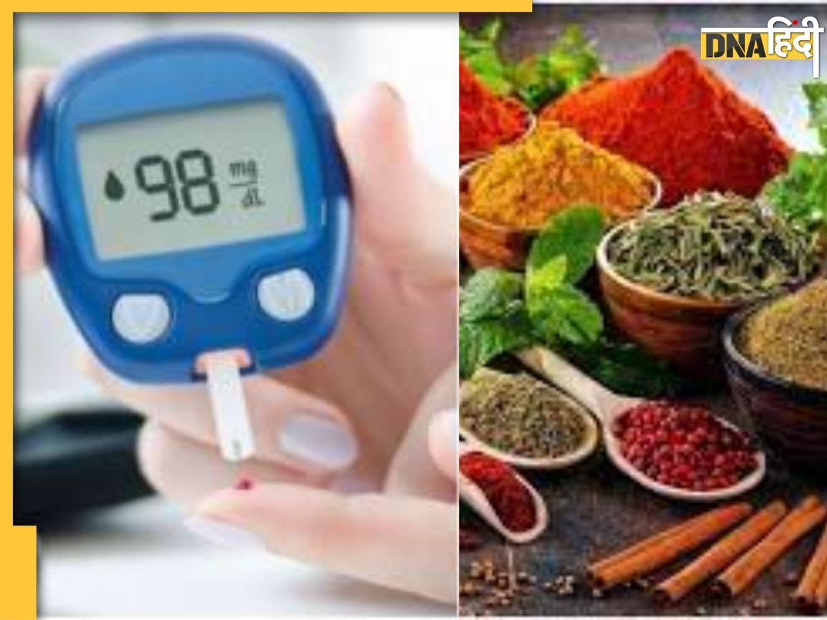 Diabetes Control Tips: डायबिटीज को जड़ से खत्म कर देगा इन दो चीजों का सेवन, जरूर आजमाएं ये आयुर्वेदिक उपाय