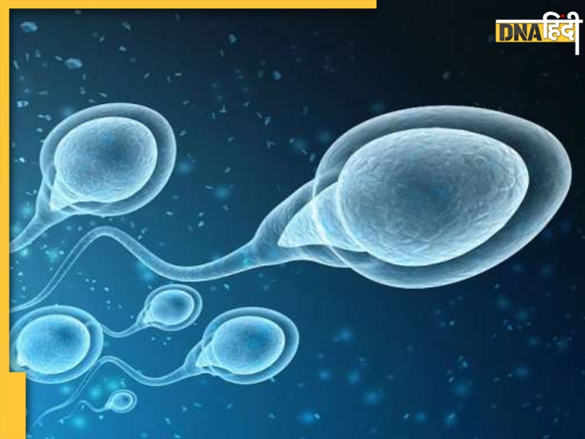 Increase Sperm Count: स्पर्म काउंट कम होने से हैं परेशान तो शुरू कर दें इन 5 बीजों का सेवन, जल्द बनेंगे पिता