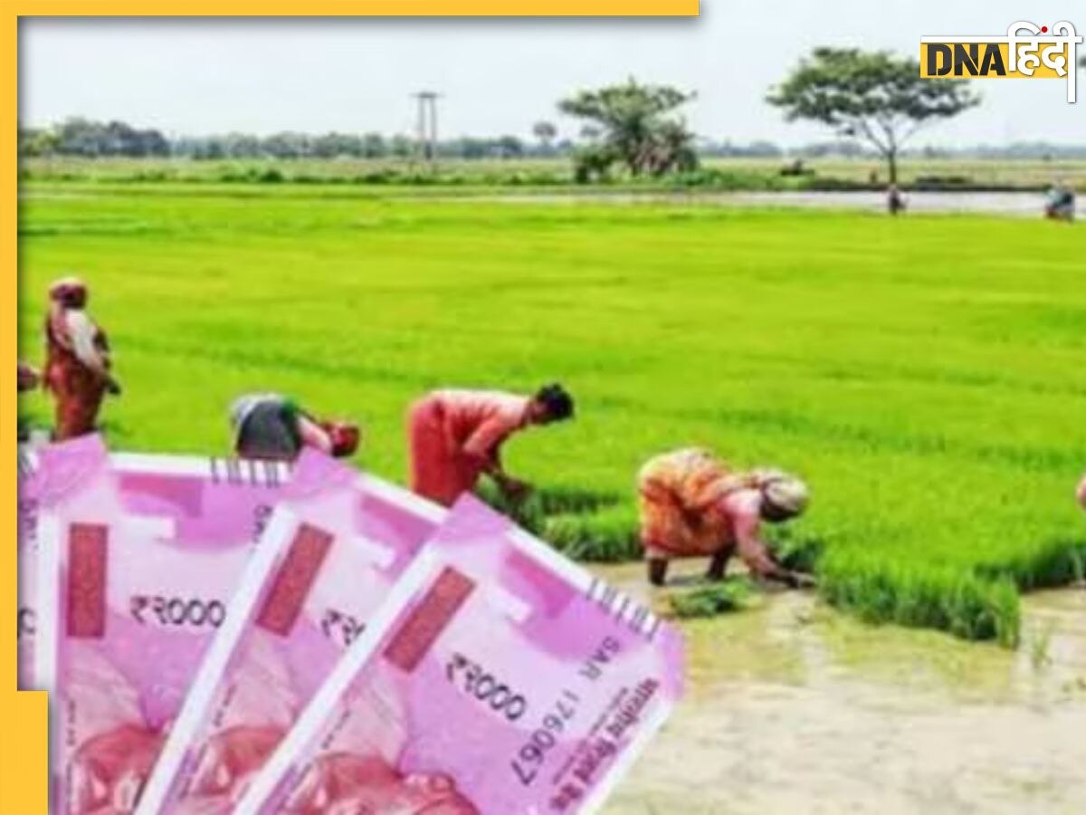 PM Kisan Yojana: 13वीं किस्त तो आएगी ही साथ ही बढ़ के भी मिलेगा पैसा, वित्तमंत्री निर्मला सीतारमण लेने वाली हैं बजट में बड़ा फैसला?