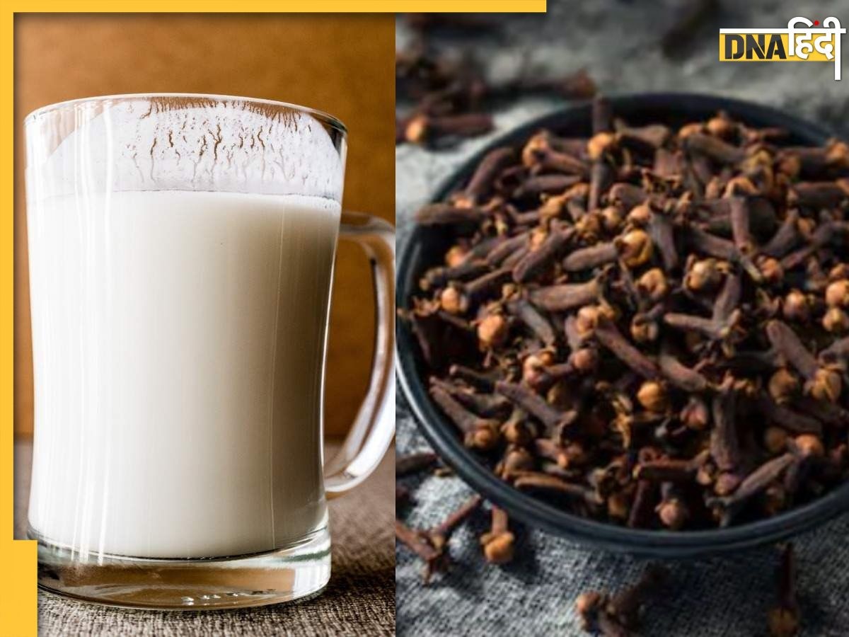 Clove Milk: दूध में लौंग डालकर पीने से बढ़ती है पुरुषों की फर्टिलिटी, ब्लड शुगर कंट्रोल और स्टेमिना बढ़ाता है भरपूर