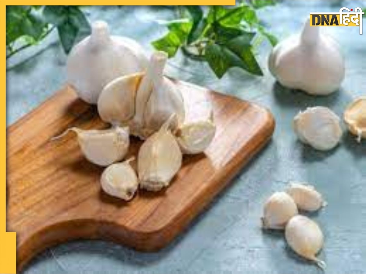 Garlic Benefits: बढ़ते हाई ब्लड प्रेशर को कंट्रोल करता है लहसुन, हर दिन ऐसे करें इसका सेवन