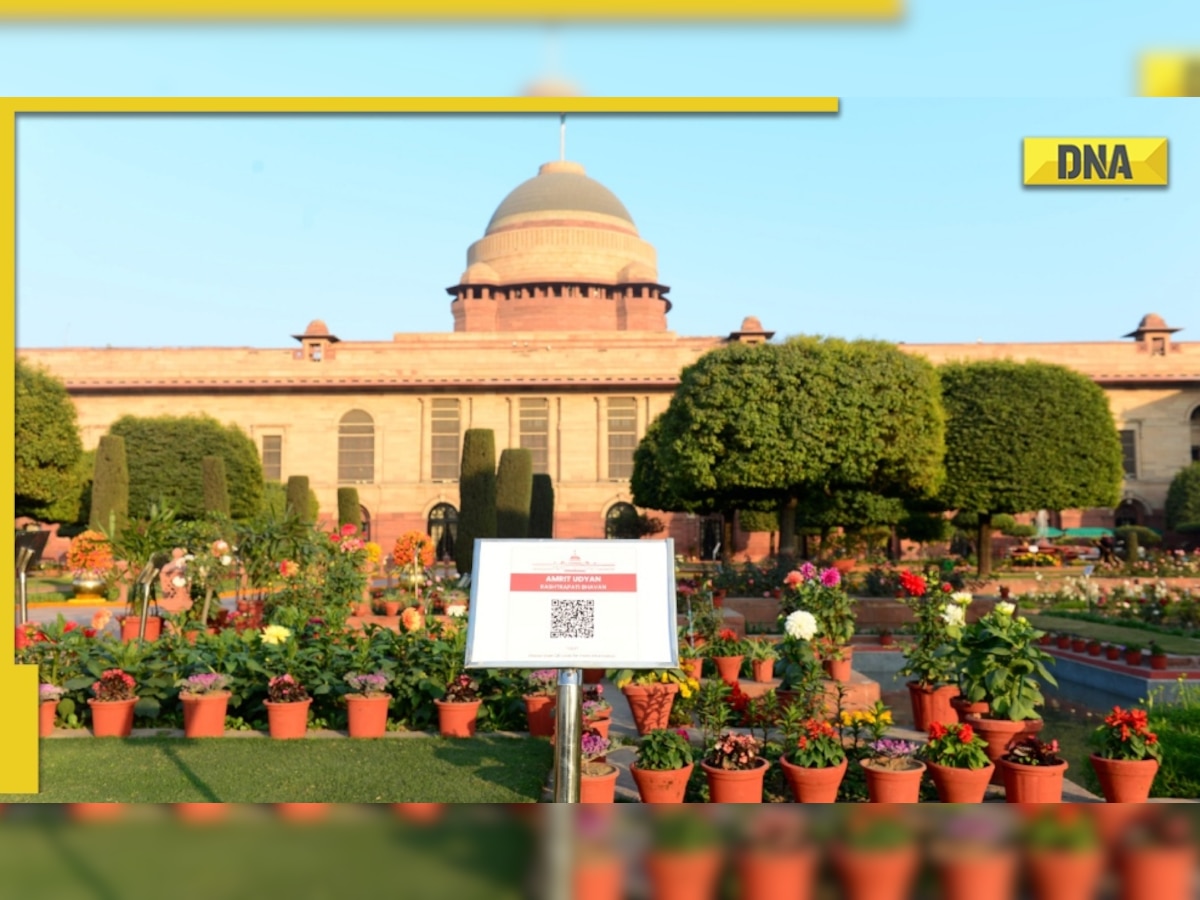 Amrit Udyan at Rashtrapati Bhavan opens for public, here's how you can visit the iconic garden