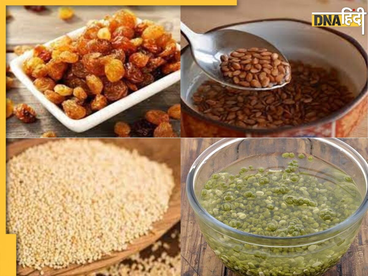 Soaked Seeds Benefits: रातभर भीगे ये 5 बीज एनिमिया से मोटापा तक करेंगे दूर, कोलेस्ट्रॉल-डायबिटीज भी रहेगा कंट्रोल