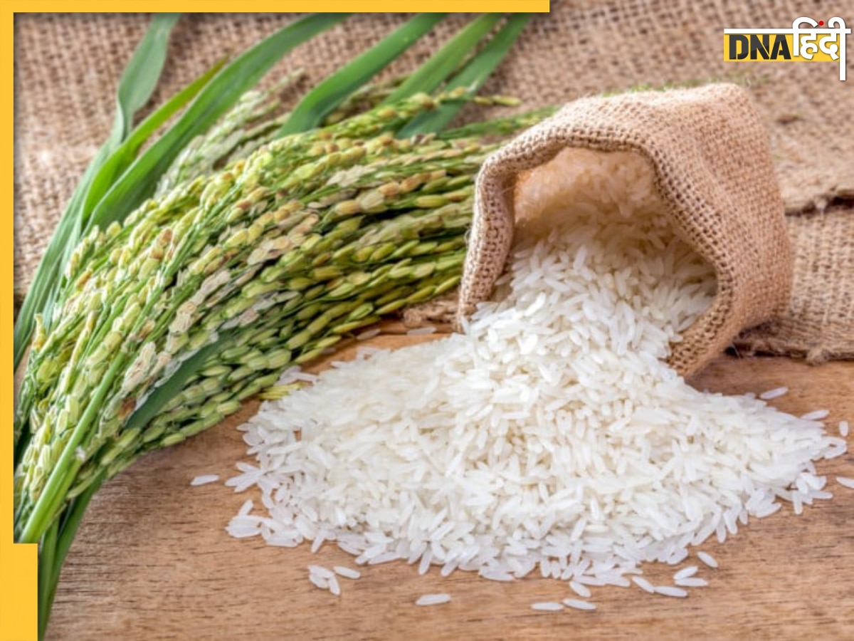 Rice Price : सरकार ने जारी की गाइडलाइन, अब चावल के दाम होंगे कम