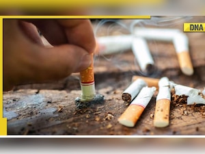 tobacco tesco Tesco trials screens ahead of ban on tobacco display | News