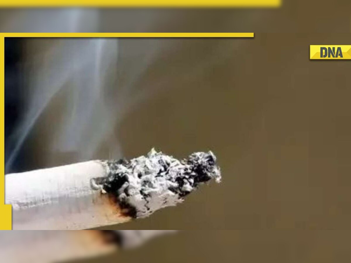 DNA Explainer Why are cigarettes getting expensive after Union Budget