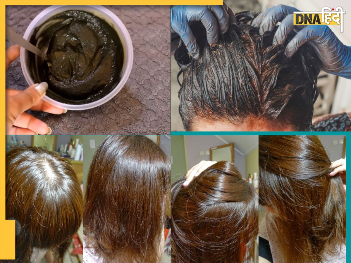 Mehandi Hair Pack Recipe  Henna Hair Oil Natural Remedy For Grey Hair