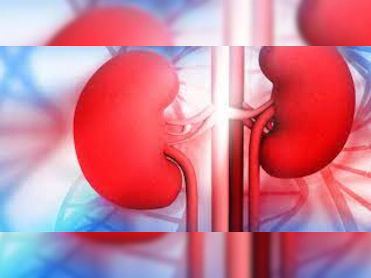 World Kidney Day 2023: लाइफस्टाइल में शामिल ये आदतें सीधे किडनी को करती हैं नुकसान, सुधार करते ही हो जाएंगे स्वस्थ