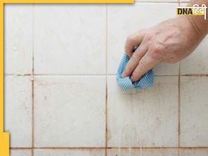 Tiles Cleaning Tips: टाइल्स पर लगे जिद्दी काले-पीले दाग चुटकियों में होंगे ऐसे साफ, नए जैसा चमक जाएगा बाथरूम