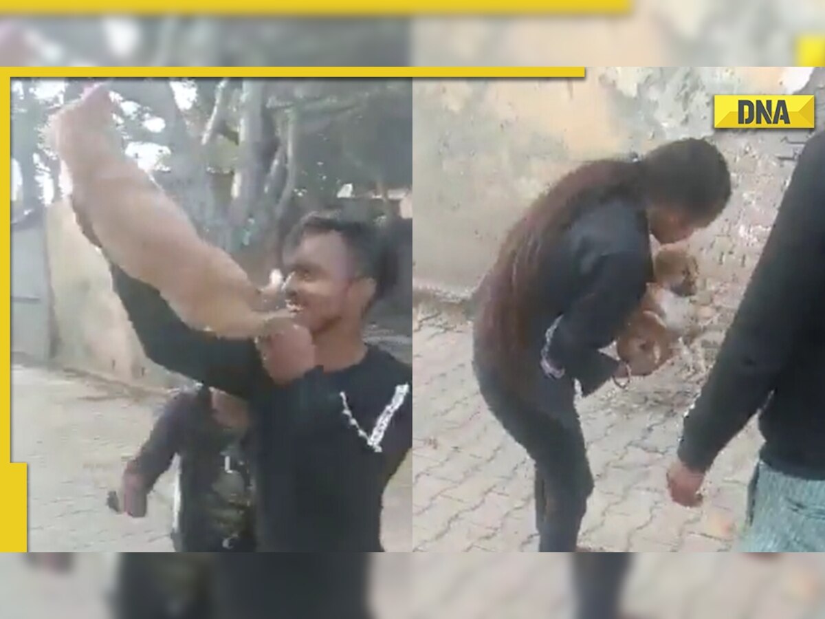 IAS officer shares video of man and woman swinging puppy holding its leg, internet outraged