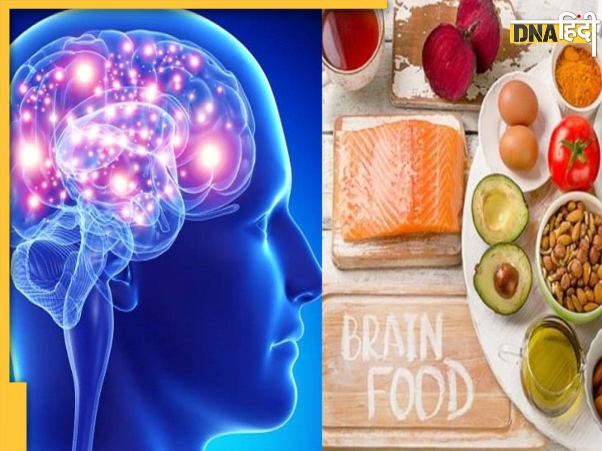 Foods For Memory: 30 के बाद याददाश्त बढ़ाने के लिए डाइट में शामिल करें ये 5 फूड्स, कभी बूढ़ा नहीं होगा दिमाग