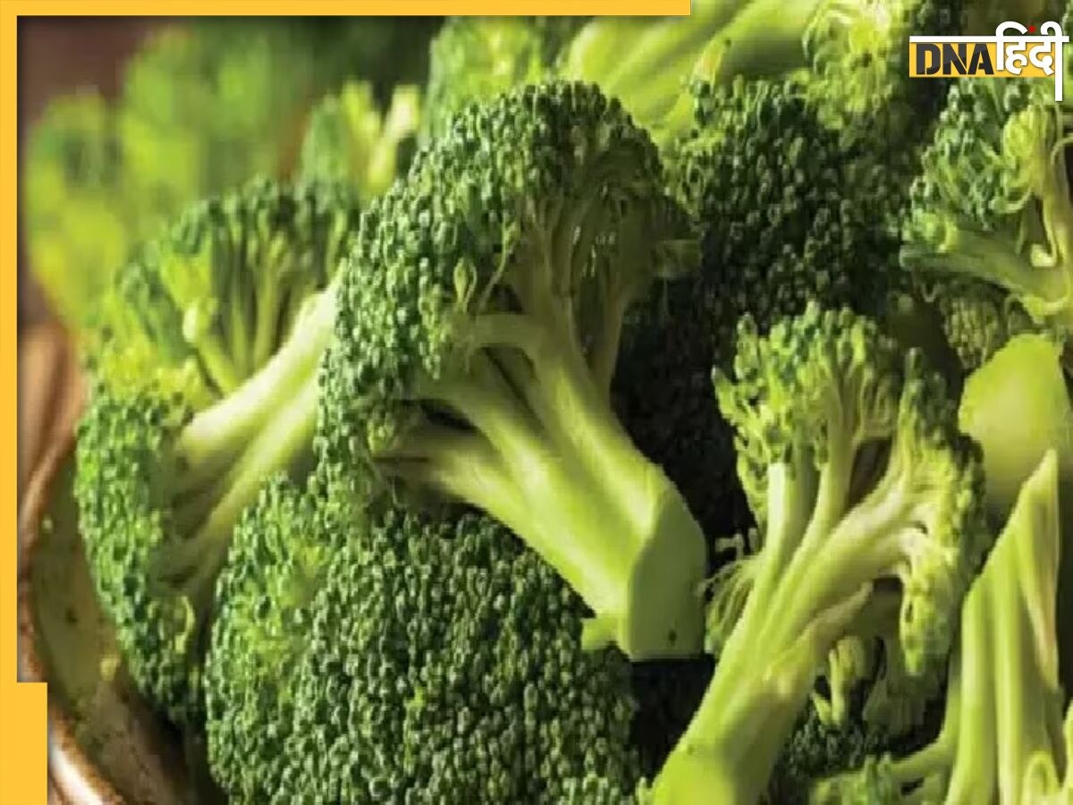 Broccoli Side Effects: इन लोगों को भूलकर भी नहीं खानी चाहिए ब्रोकली, सेहत को हो सकते हैं ये 5 बड़े नुकसान