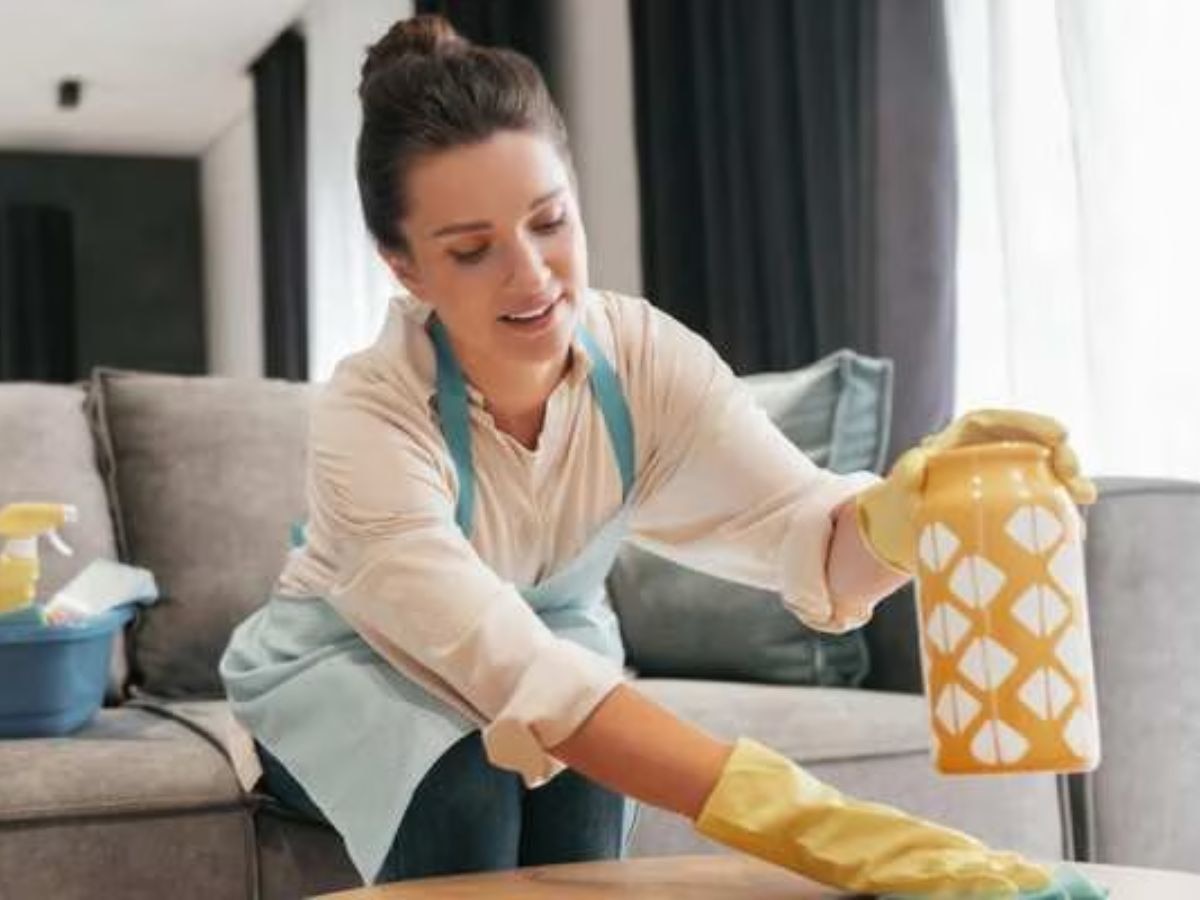 Home Cleaning Tips: इन 10 तरह के जिद्दी स्टेन को झट से साफ करेंगी घर में पड़ी ये चीजें, चमक जाएगा कोना-कोना