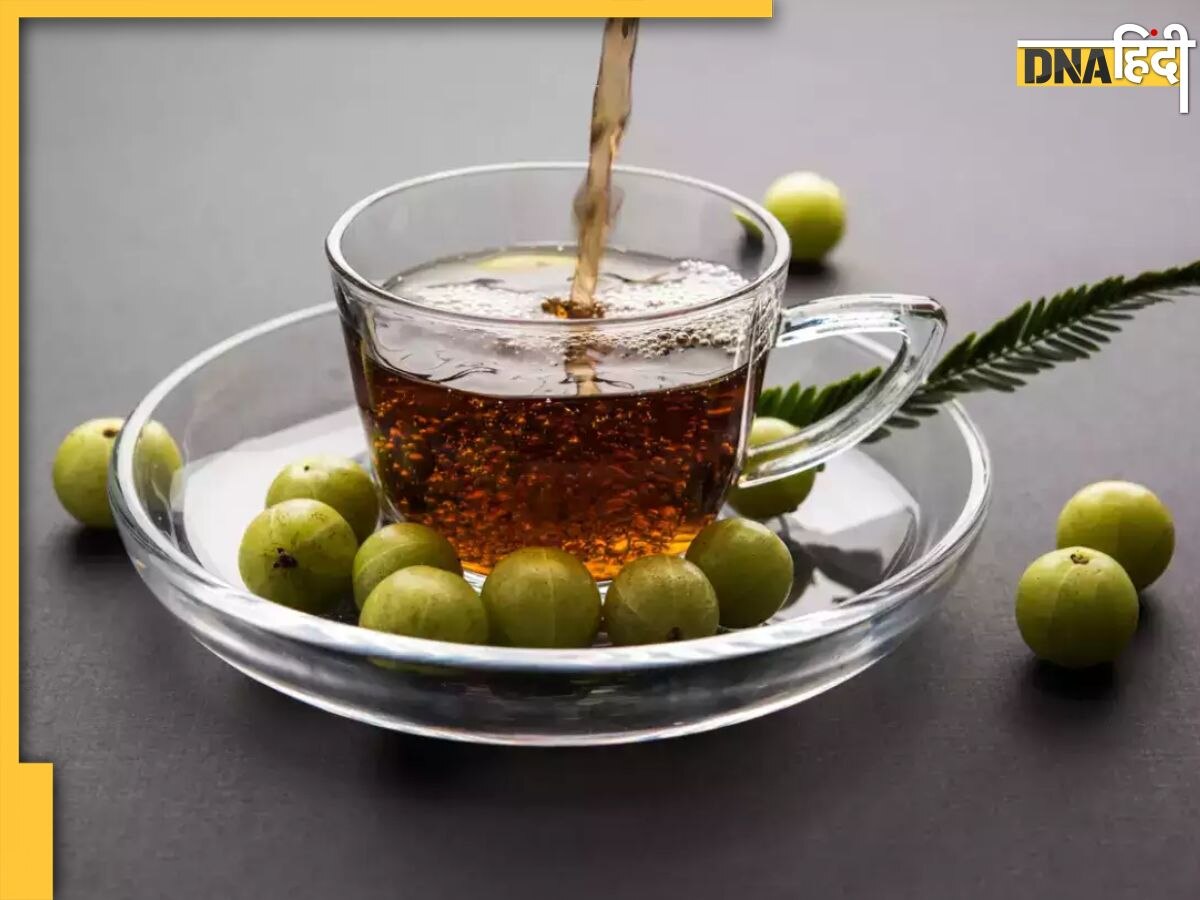 Amla Tea Benefits: मोटापे से लेकर शुगर कंट्रोल करती आंवले की चाय, जानें इसके फायदे और बनाने का तरीका