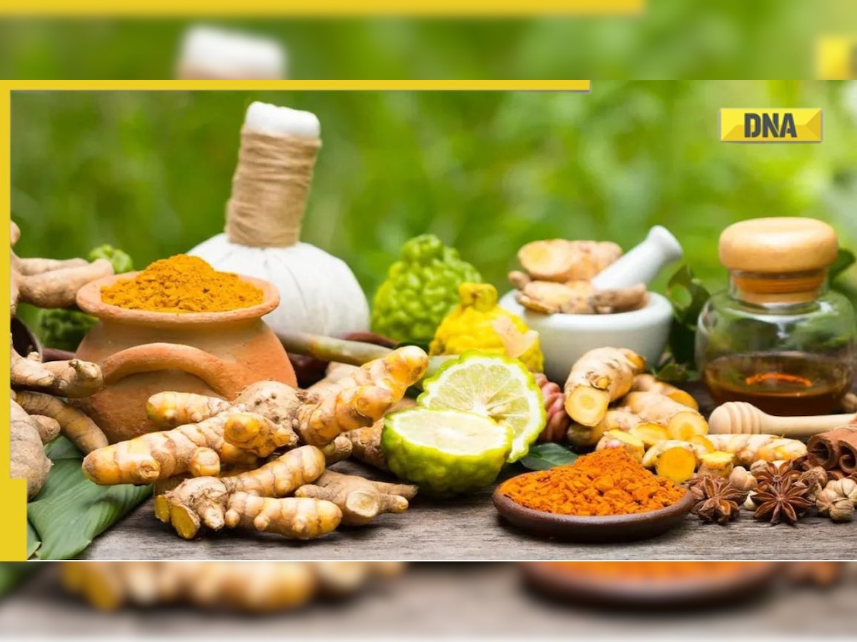 Heart health: Ayurveda herbs to prevent heart disorders