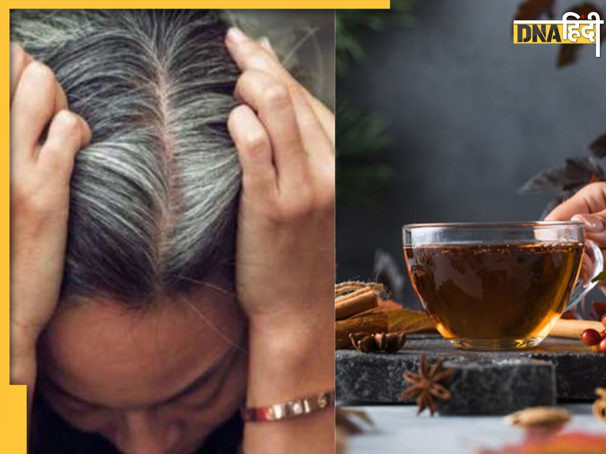 White Hair Remedies: इस आयुर्वेदिक चाय की चुस्की से ही खत्म हो जाएगा हेयर फॉल, सफेद बाल भी हो जाएंगे काले