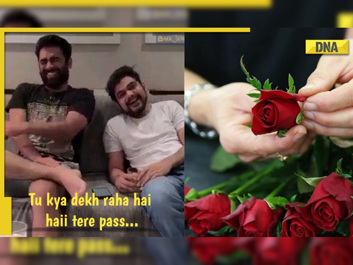 Happy Rose Day 2023: Singles savagely mock Rose Day with hilarious memes and jokes on Twitter