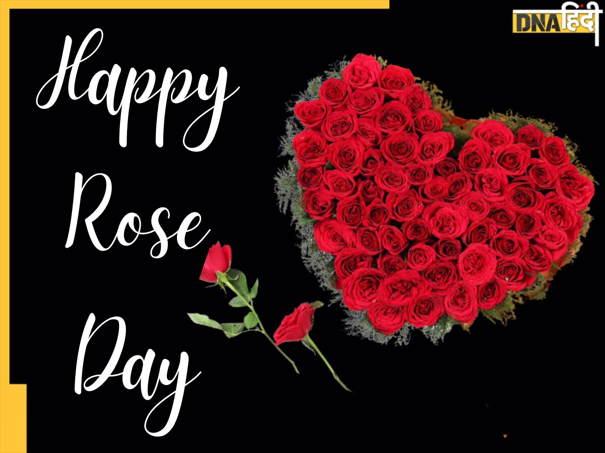 Happy Rose Day: Girlfriend या Wife है आपसे मीलों दूर तो भी न लें टेंशन, इन वेबसाइट्स से मिनटों में भेजें Red Rose