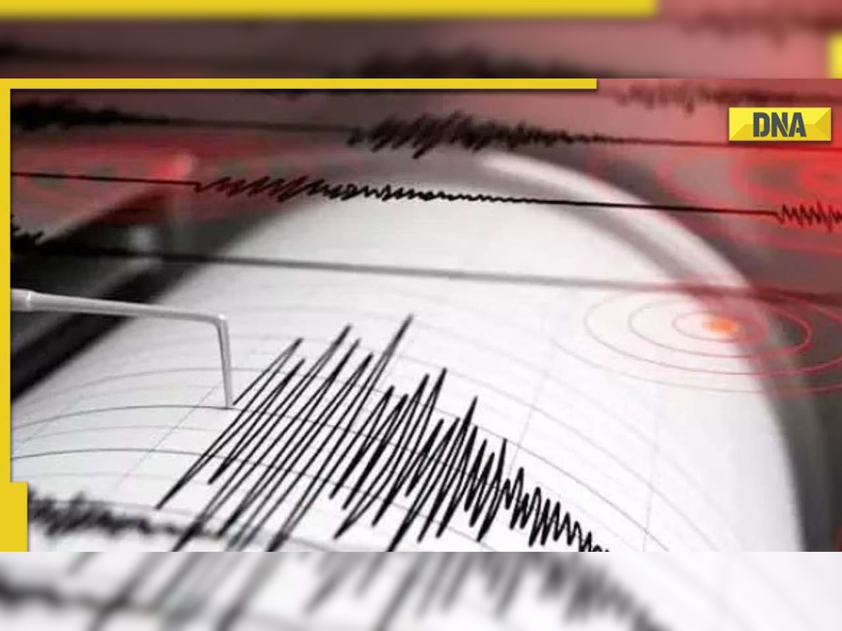 Earthquake risk: With 4 seismic zones in India, know which parts are in top zone