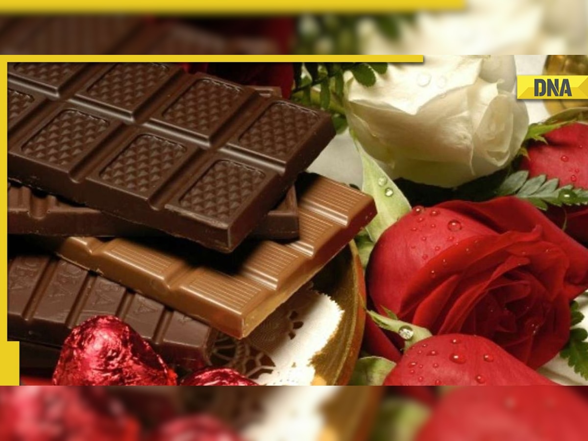 Happy Chocolate Day 2023: Add sweetness to your relationship, send WhatsApp wishes, quotes to your special one