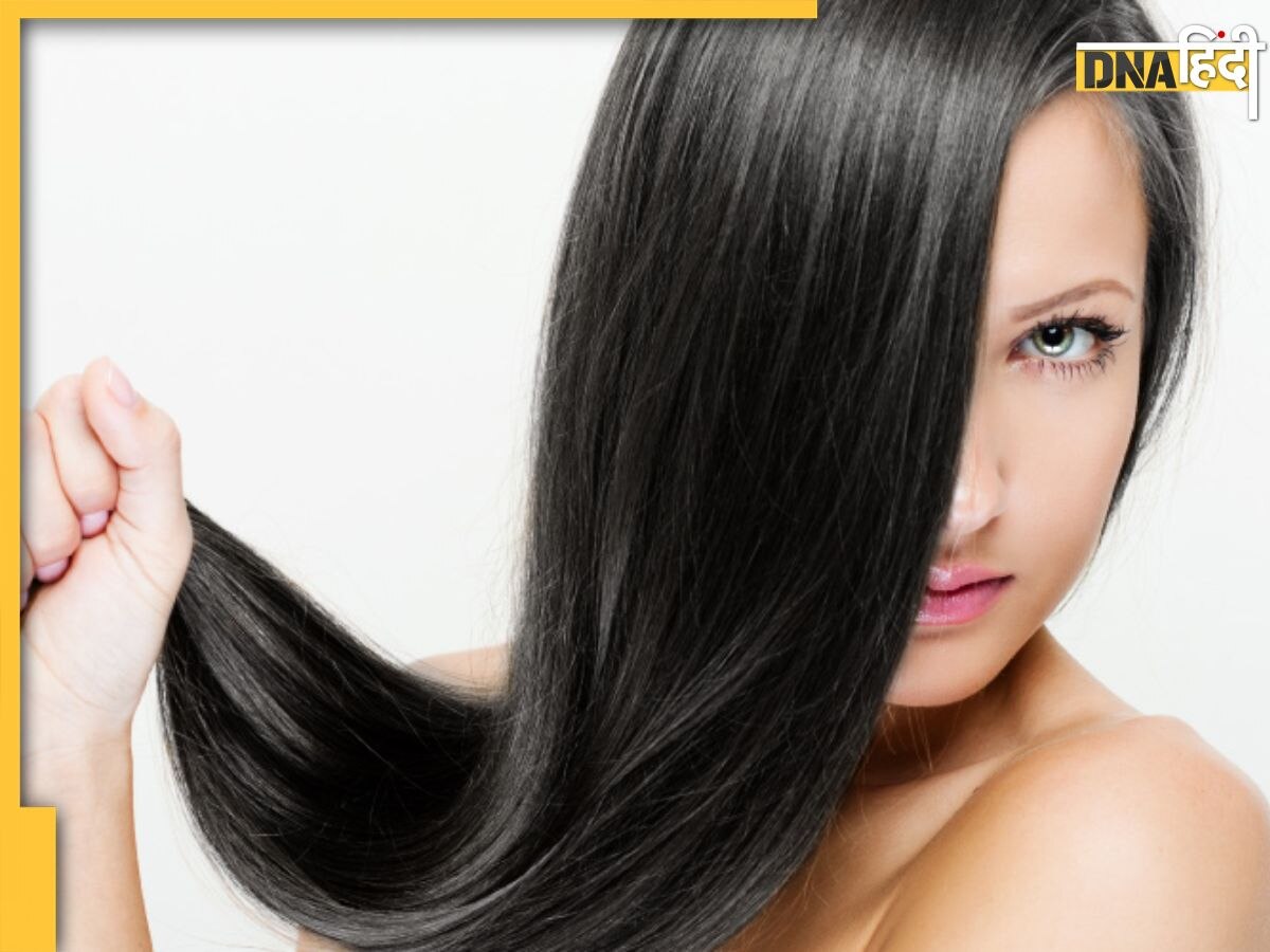 Hair Care Tips: ऑलिव ऑयल में मिलाकर स्कैल्प में लगाएं ये तेल, हॉट हिरोइनों के बालों से भी ज्यादा चमकने लगेंगे आपके बाल