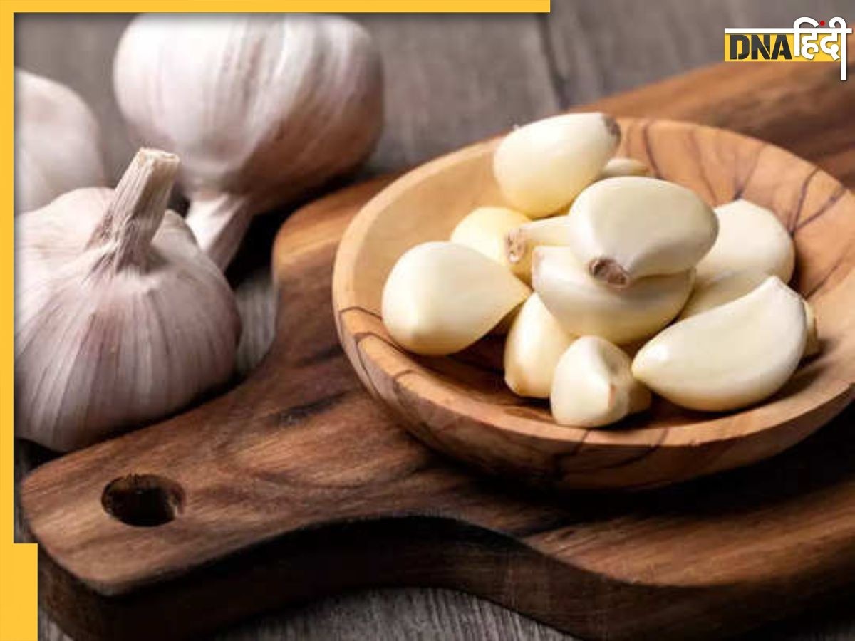 Garlic Side Effects: इन लोगों को भूलकर भी नहीं खाना चाहिए लहसुन, शरीर को हो सकता है नुकसान