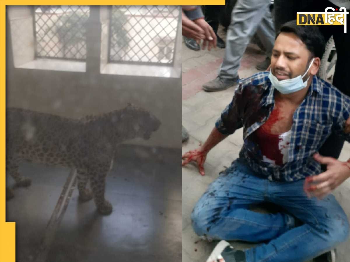 Leopard in Ghaziabad Court: 5 घंटे बाद पकड़ा गया गाजियाबाद कोर्ट में घुसा तेंदुआ, लोगों पर किया जानलेवा हमला, देखें खौफनाक वीडियो