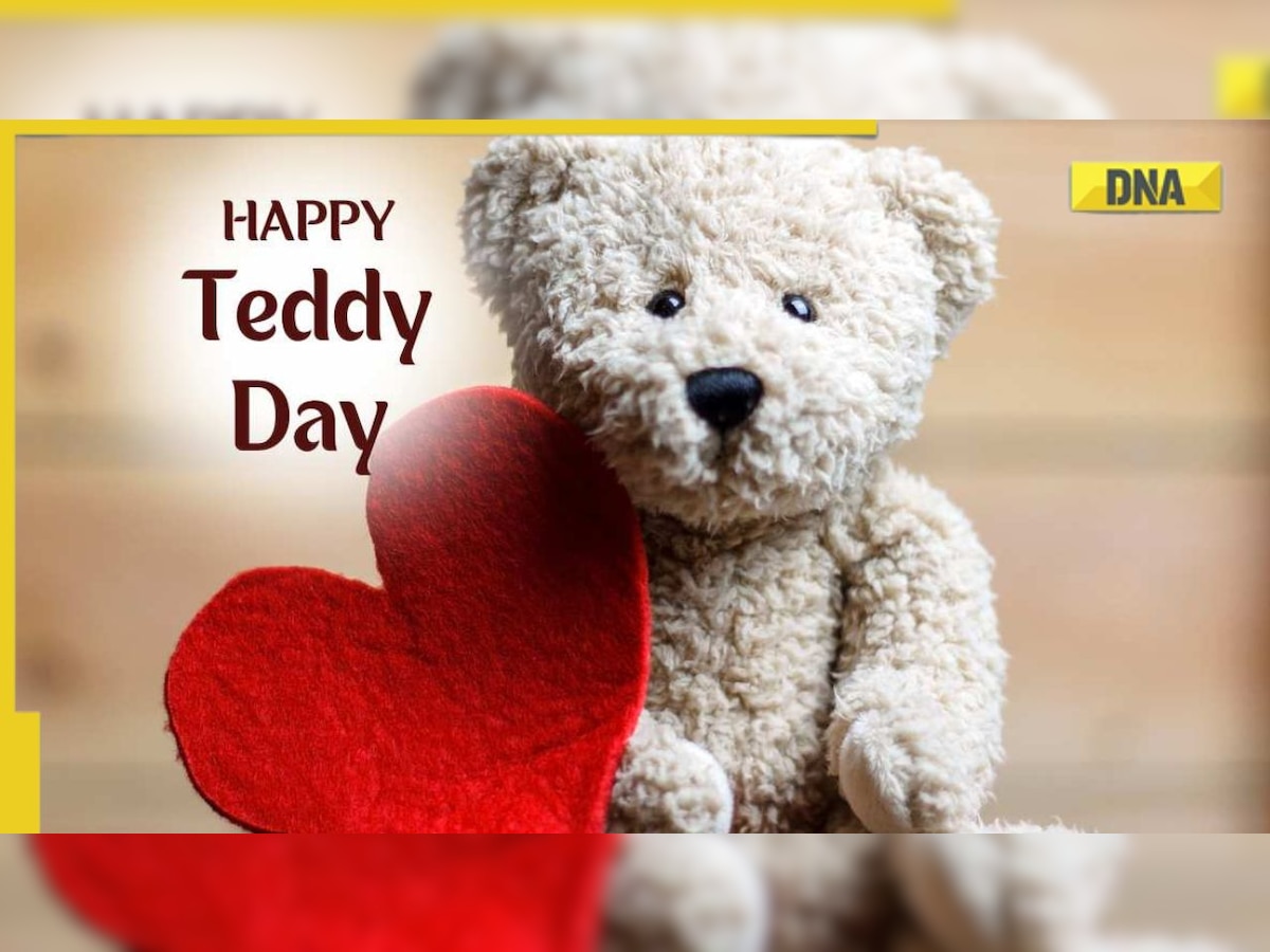 Teddy Day 2023: Date, history, significance and celebrations of ...