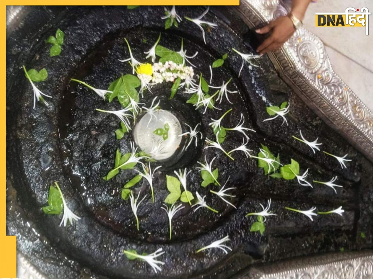 Trimbakeshwar Mandir के शिवलिंग में जमी बर्फ की क्या है सच्चाई, चमत्कार और साजिश का हो गया खुलासा 