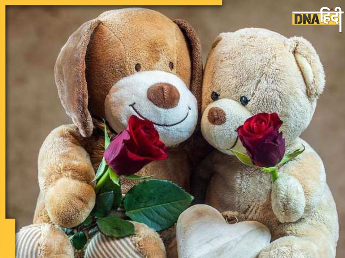 Teddy Day 2023 के मौके पर ये प्यार भरी शायरियां भेजकर झट से कह दें दिल की बात, बढ़ जाएगी नजदीकियां