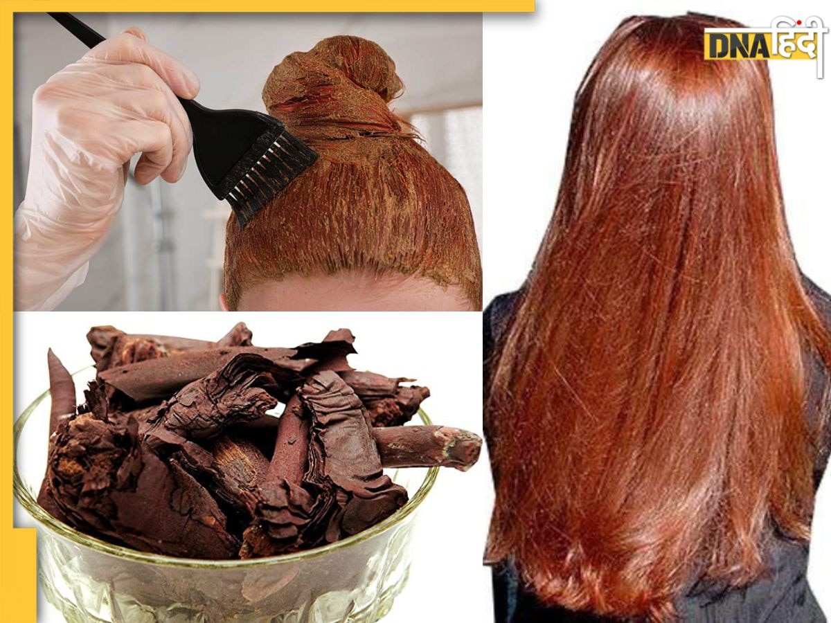 White Hair 2 घंटे में इस Ayurvedic Paste से होंगे Brownish-Black, बिना Dye बाल काले करने का है ये जबरदस्त तरीका