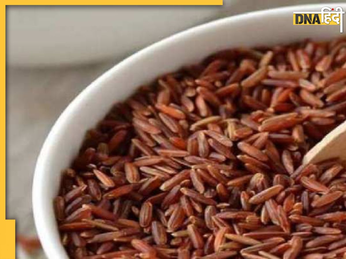Brown Rice In Hindi Benefits Of Brown Rice: ब्राउन राइस खाने से डायबिटीज हो सकता है कंट्रोल ...
