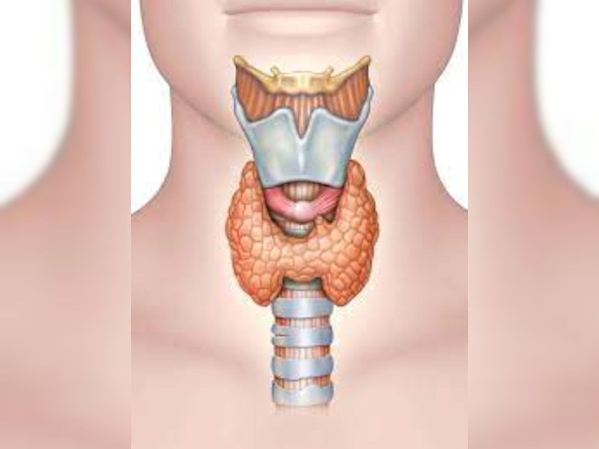 बच्चों को भी होने लगी अब थायराइड की बीमारी, लेकिन डरें नहीं, बरतें ये सावधानियां