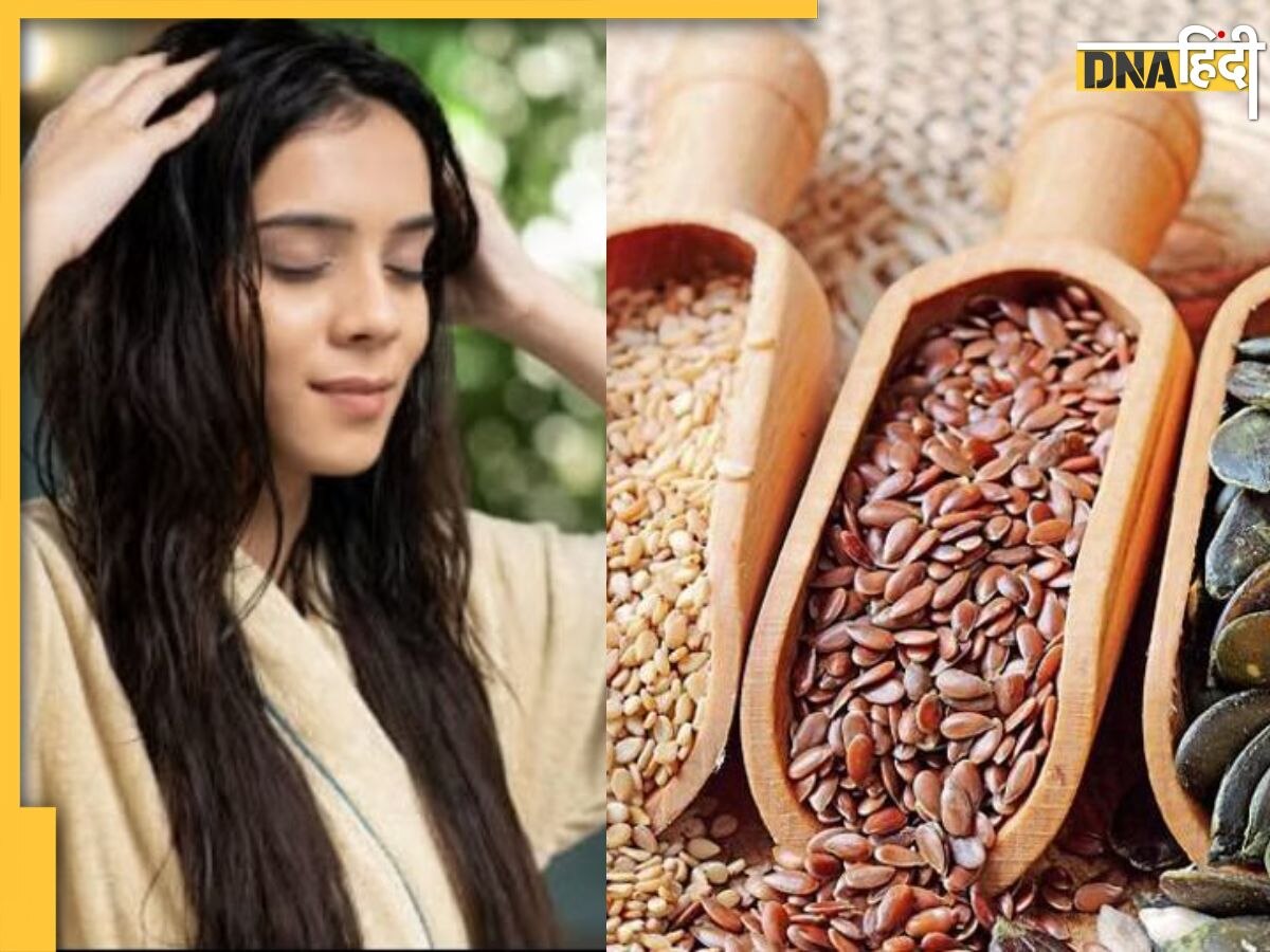 Hair Care Tips: हेयर प्रॉब्लम की समस्या से निजात दिलाएंगे ये नेचुरल बीज, बालों के लिए किसी वरदान से कम नहीं