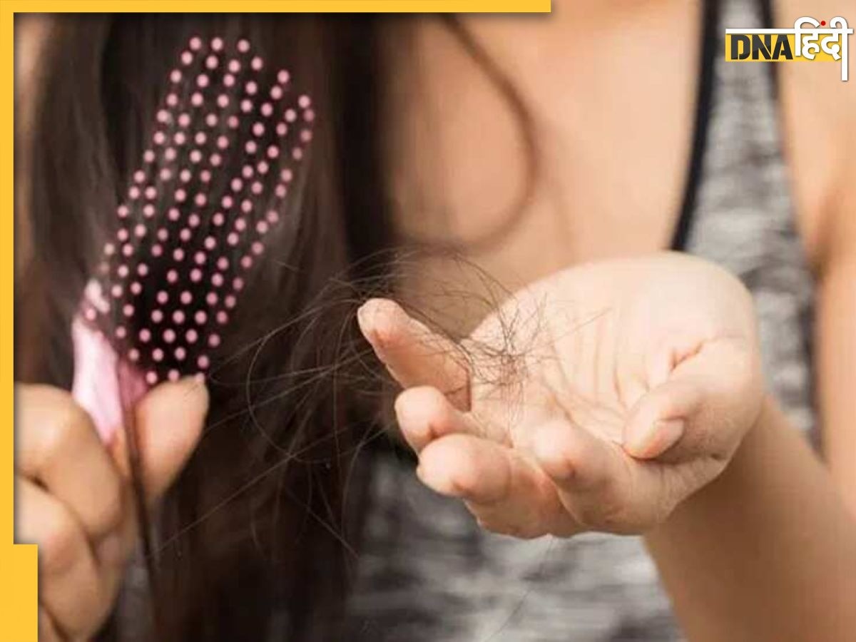 Hair Fall Remedy: बाल टूटने से हैं परेशान तो डाइट में शामिल करें ये फूड्स, न्यूट्रिएंट्स की कमी से बंद हो जाएगा Hair Fall