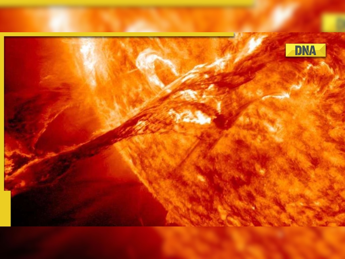 DNA Verified: Did a piece of Sun 'break off'? Read the truth behind the viral news