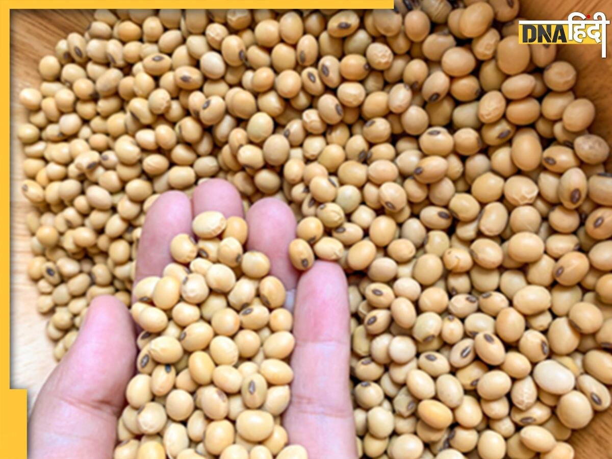 Soybean Side Effects: अपनी डाइट से आज ही हटा दें सोयाबीन, महिला और पुरुष दोनों के हॉर्मोन को होता है नुकसान