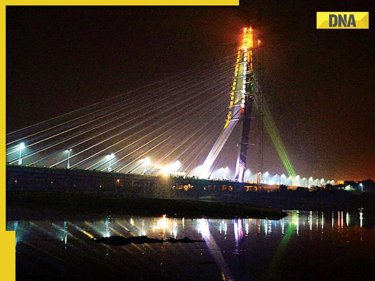 Delhi: Girl jumps into Yamuna from Signature Bridge day after dispute with father, rescued