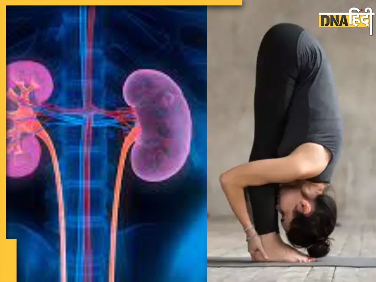 Yoga For Kidney: यूरिक एसिड किडनी को कर रहा है इफेक्ट तो आज से ही करें ये 4 योगासन, फिट हो जाएगी ​Kidney