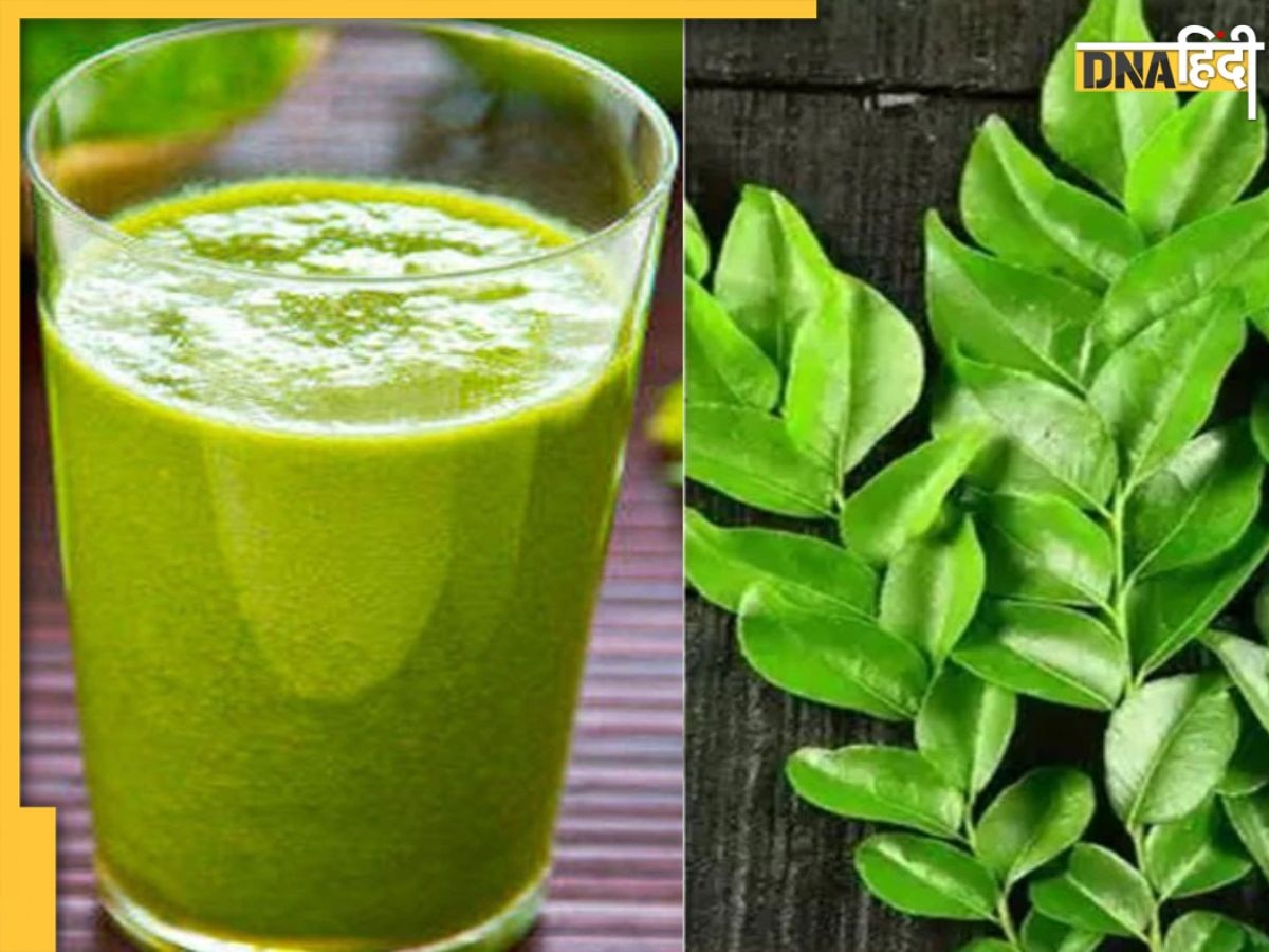 Curry Leaves Juice: इस तरह बनाकर पिएं करी पत्ते का जूस, एनीमिया और गैस-कब्ज जैसी समस्याएं हफ्ते भर में हो जाएंगी छूमंतर