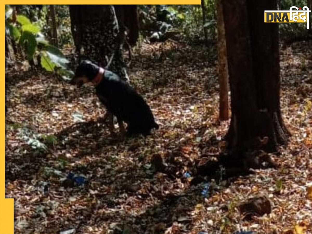 जवानों की जान बचाने के लिए IED ब्लास्ट में शहीद हो गया कुत्ता, वफादारी से जीत लिया सभी का दिल