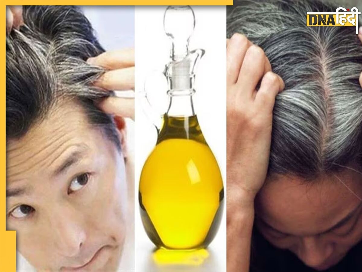 White Hair Remedy: काले बालों को लिए इस बीज के तेल को लगाना कर दें शुरू, देखते ही देखते सफेद बाल हो जाएंगे नेचुरली Black