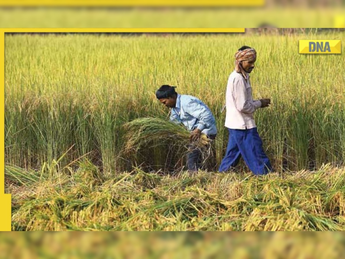 PM Kisan Yojana: These farmers won't receive next installment, here's why