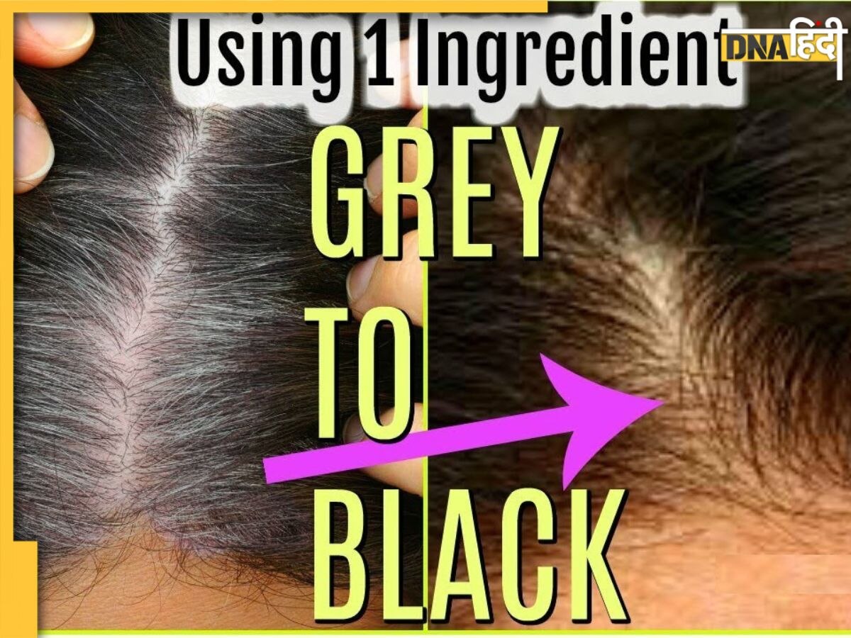 White Hair Quick Remedy: सफेद बाल 45 मिनट होंगे Permanent Black, हिना में मिला लें ये बस ये 1 चीज, देखिए फिर कमाल