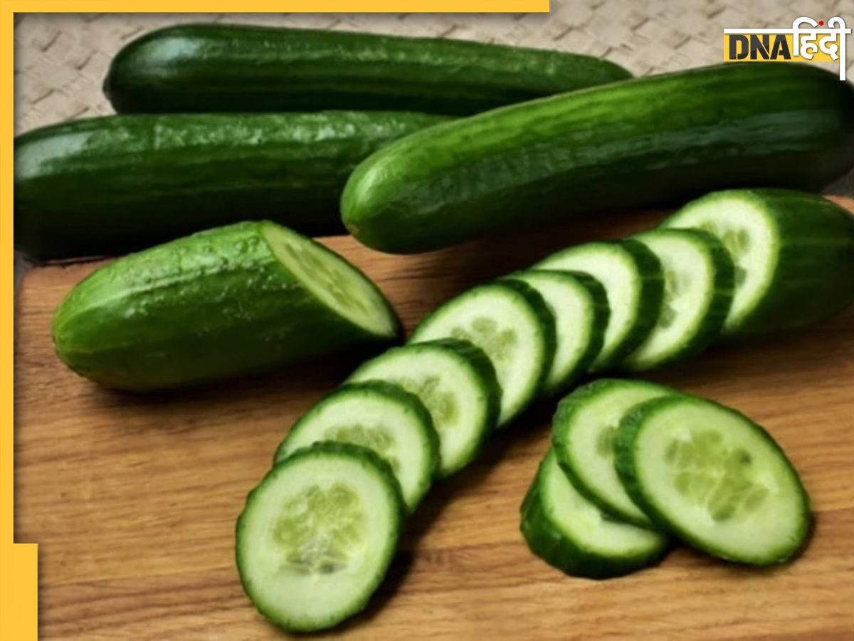 Cucumber Benefits: दिन में सिर्फ एक खीरा खाने से दूर रहती हैं कई परेशानियां, जड़ से खत्म हो जाती हैं ये 4 बीमारी