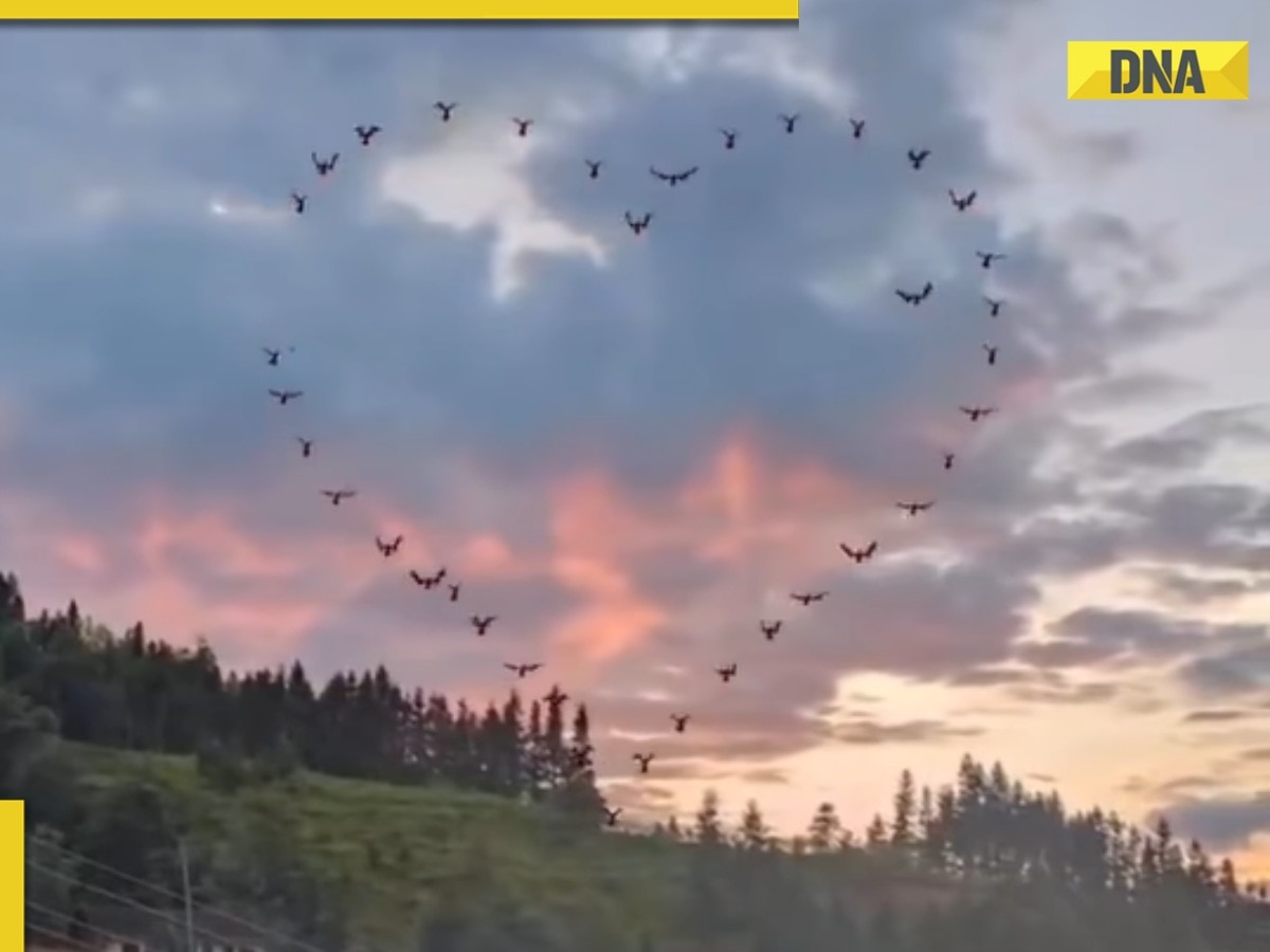 'Love is in the air': Birds form perfect heart in edited viral video