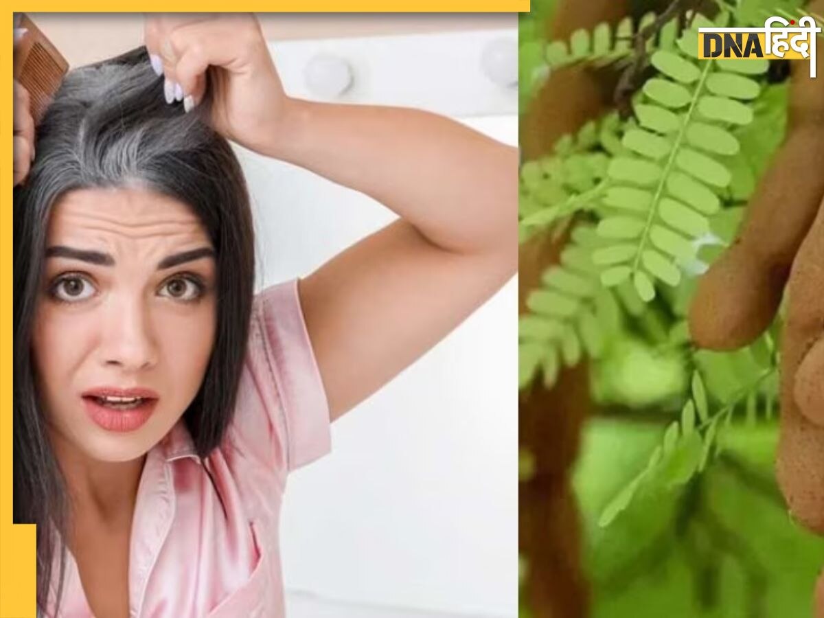 White Hair Remedy: सफेद बालों को काला कर देंगी ये हरी पत्तियां, Gray hair हो जाएंगे Blackish- Brown